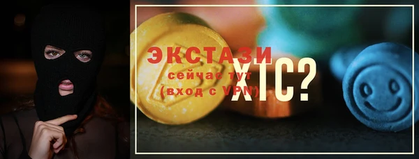 индика Мурманск