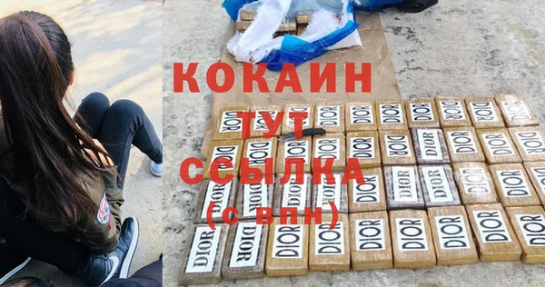 apvp Кукмор