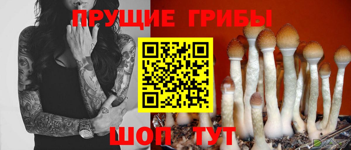 Псилоцибиновые грибы прущие грибы  Галлюциногенные грибы Psilocybine cubensis  Гулькевичи  Вход с VPN 